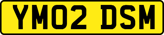 YM02DSM