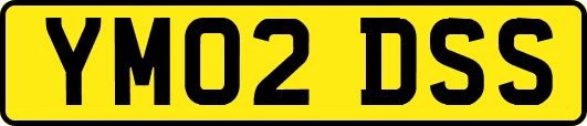 YM02DSS