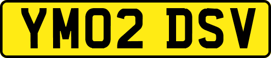 YM02DSV