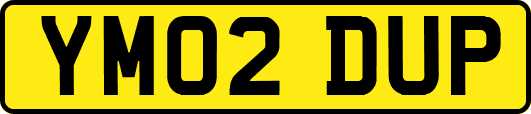 YM02DUP