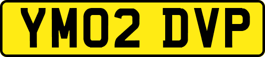 YM02DVP