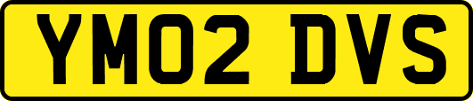 YM02DVS