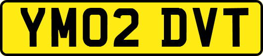 YM02DVT
