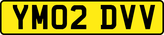 YM02DVV