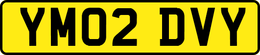 YM02DVY