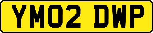 YM02DWP