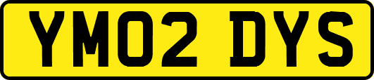 YM02DYS