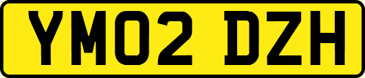 YM02DZH