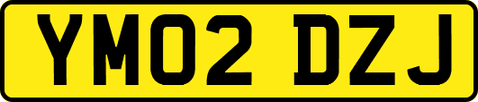 YM02DZJ