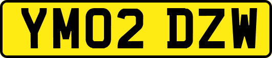 YM02DZW