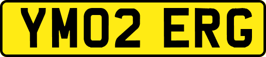 YM02ERG
