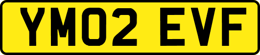 YM02EVF