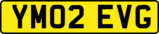 YM02EVG