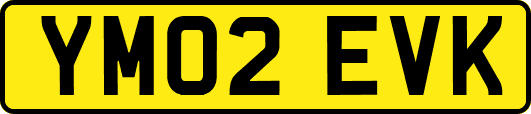YM02EVK