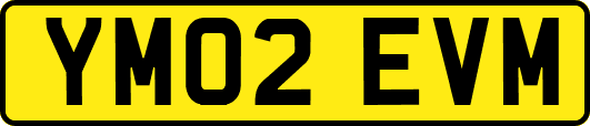 YM02EVM