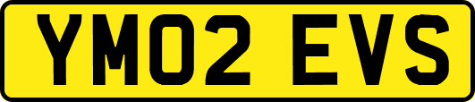 YM02EVS