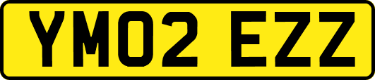 YM02EZZ
