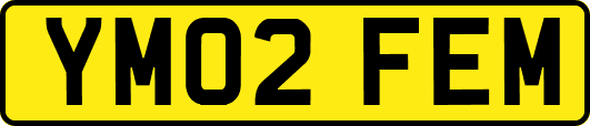 YM02FEM