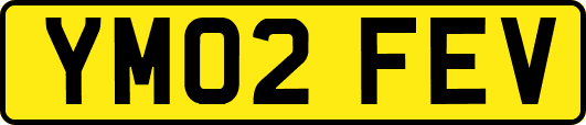 YM02FEV