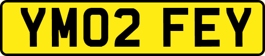 YM02FEY