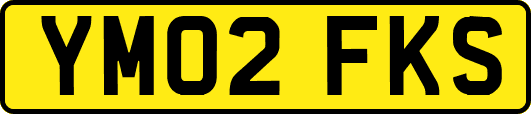 YM02FKS