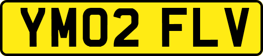 YM02FLV