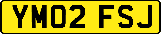 YM02FSJ