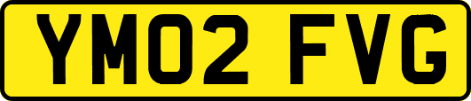 YM02FVG
