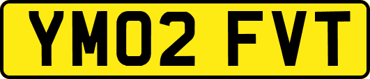 YM02FVT