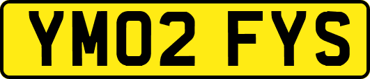 YM02FYS