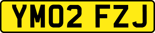 YM02FZJ