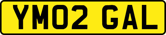 YM02GAL