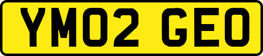 YM02GEO
