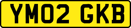 YM02GKB