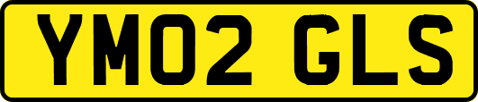 YM02GLS