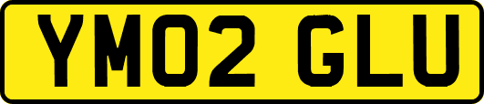 YM02GLU