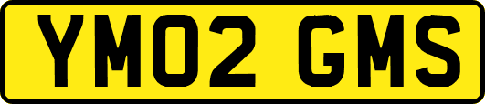 YM02GMS