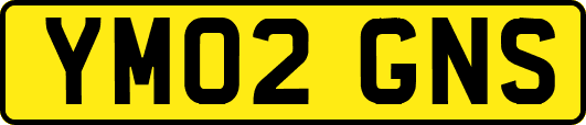 YM02GNS