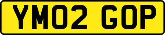 YM02GOP