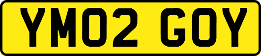 YM02GOY