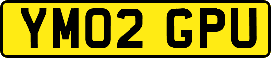 YM02GPU