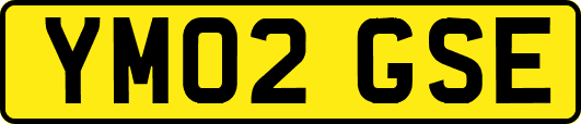 YM02GSE