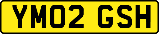 YM02GSH