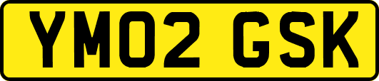 YM02GSK