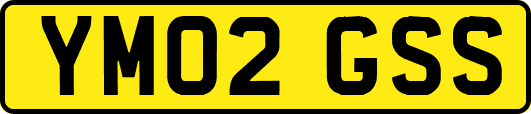 YM02GSS
