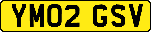 YM02GSV