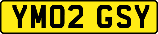 YM02GSY