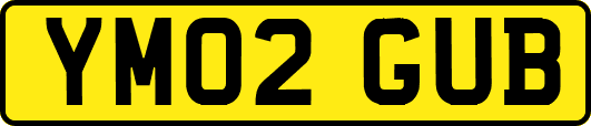 YM02GUB