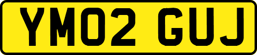 YM02GUJ