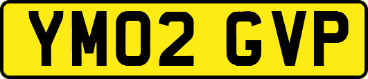 YM02GVP